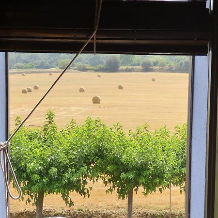 Apartaments Rurals Ai Manyac San Miguel de Cruilles Екстер'єр фото